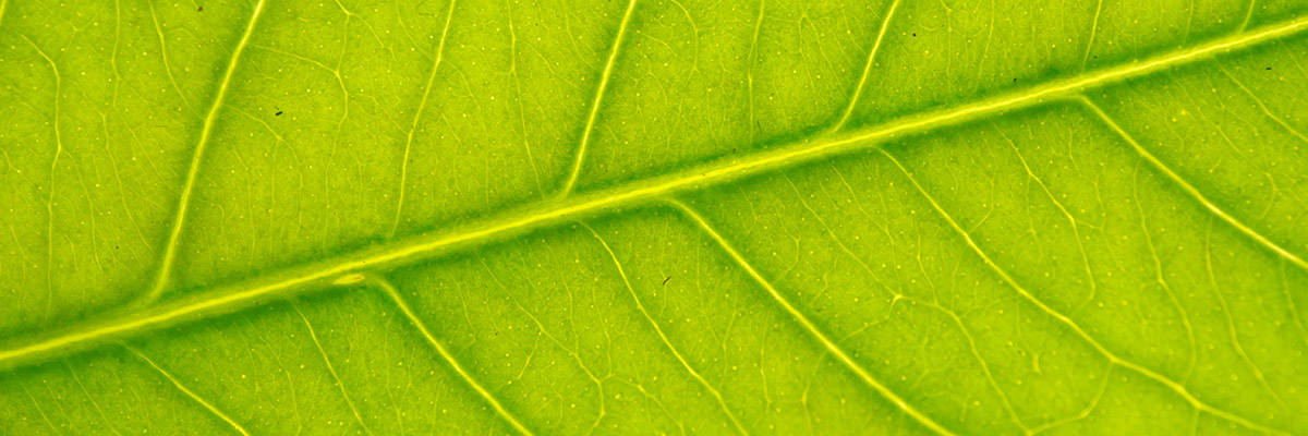 Tech Nation and PwC launch joint climate tech accelerator